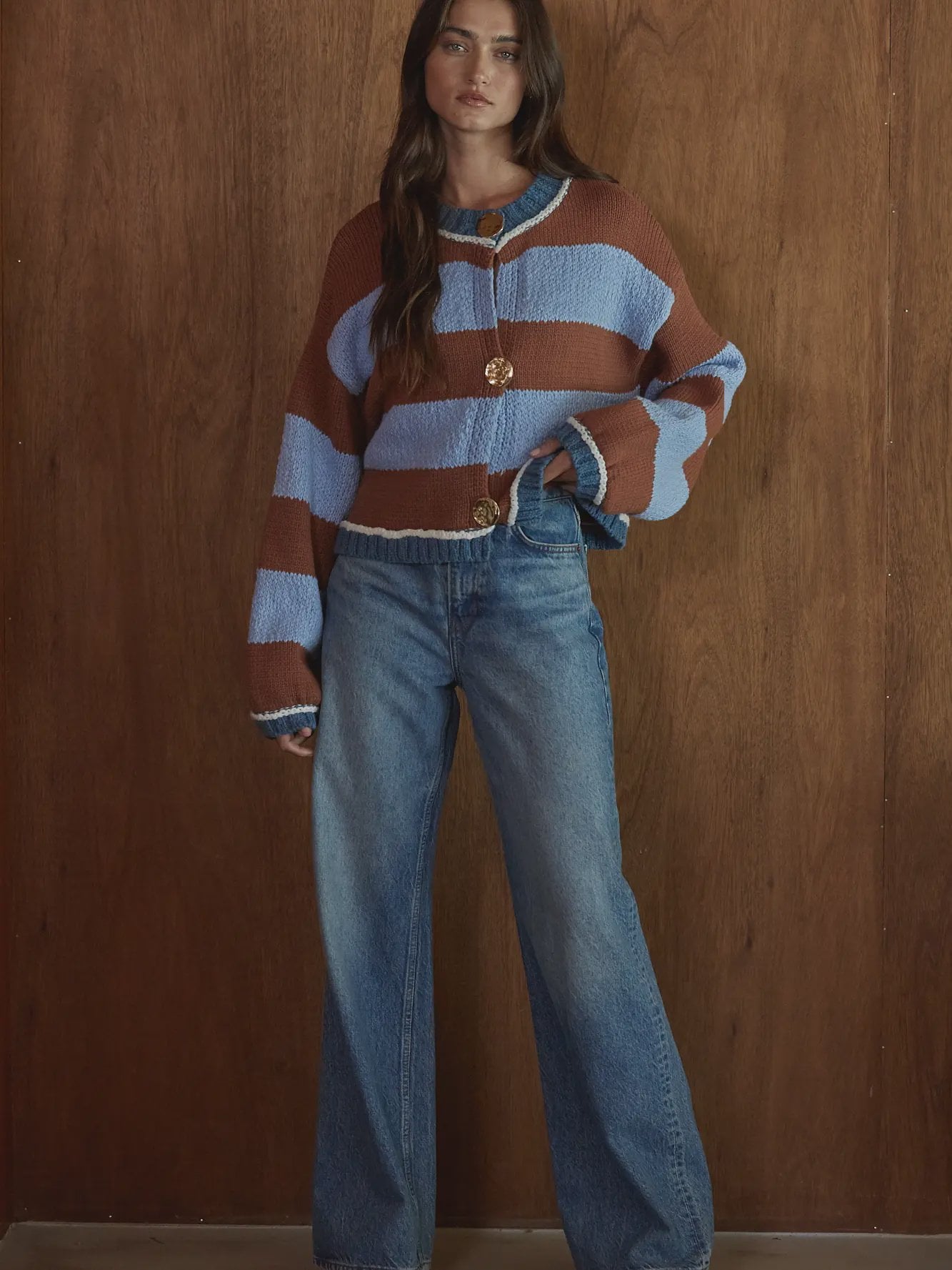 Knit Striped Gold Buttons Cardigan / Brown Blue
