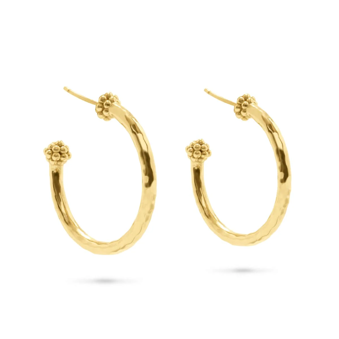 Berry Slice Medium Hoop Earrings - Gold