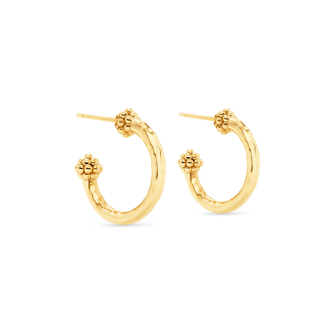 Berry Slice Small Hoop Earrings - Gold