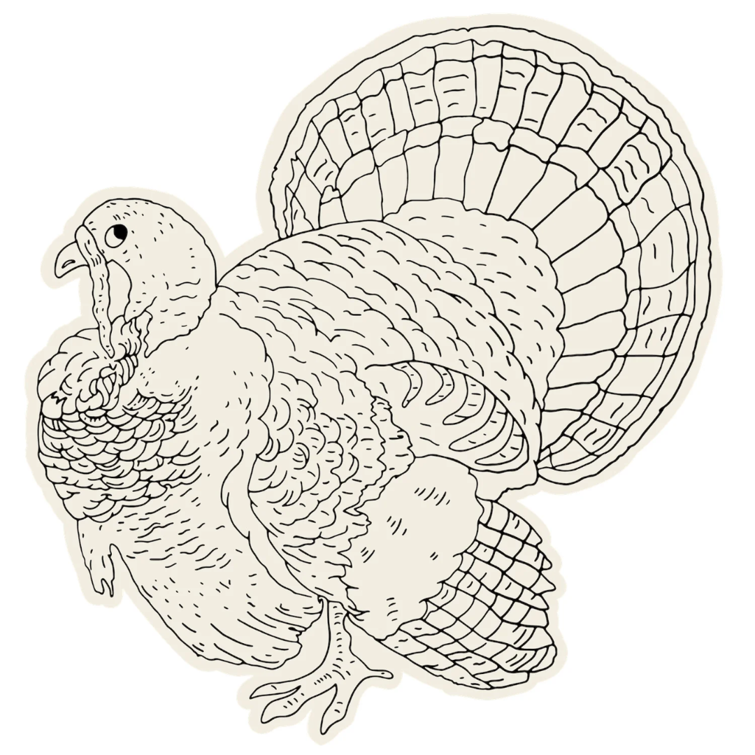 Coloring Turkey Placemat, Pack of 12 Sheets