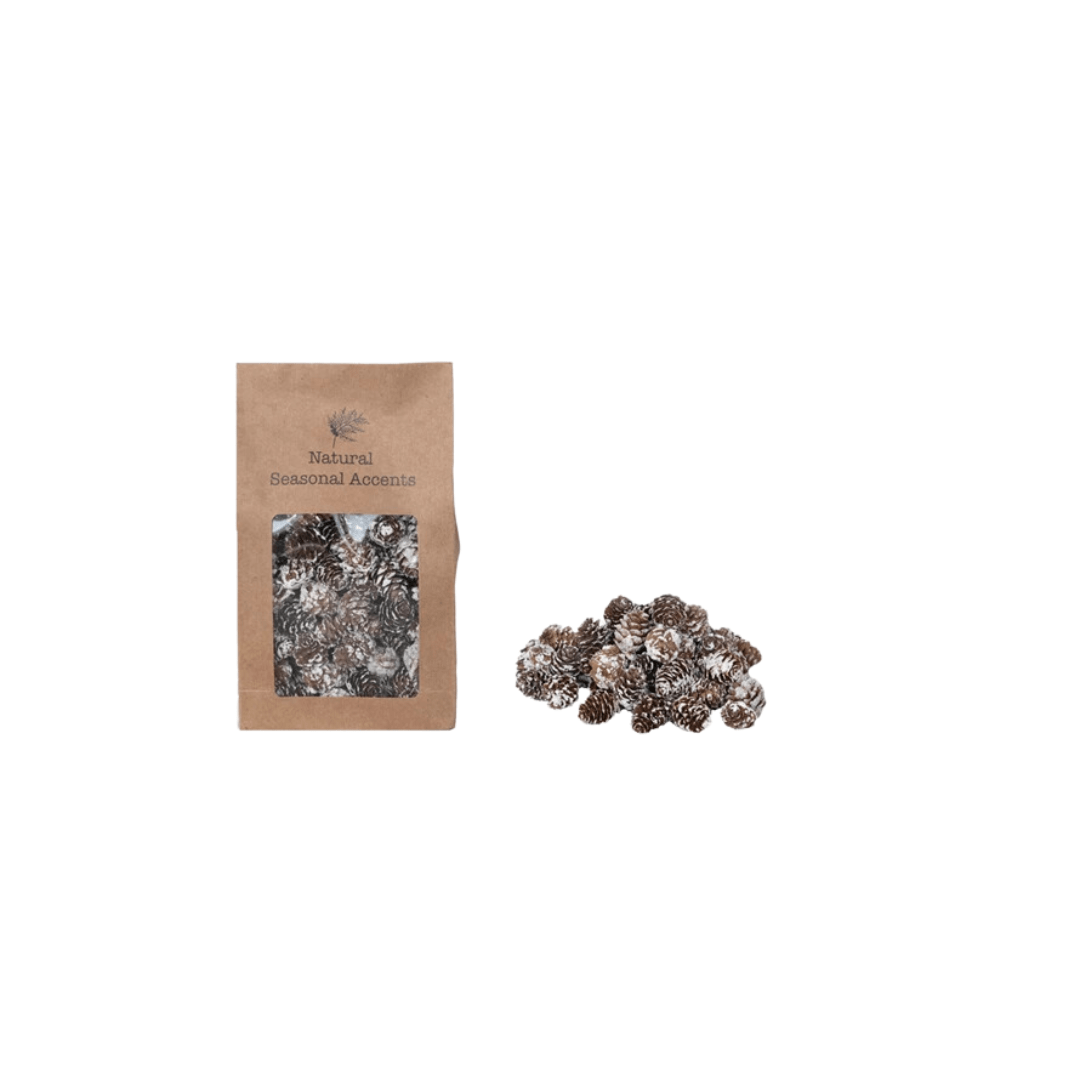 Dried Natural Pinecones in Bag
