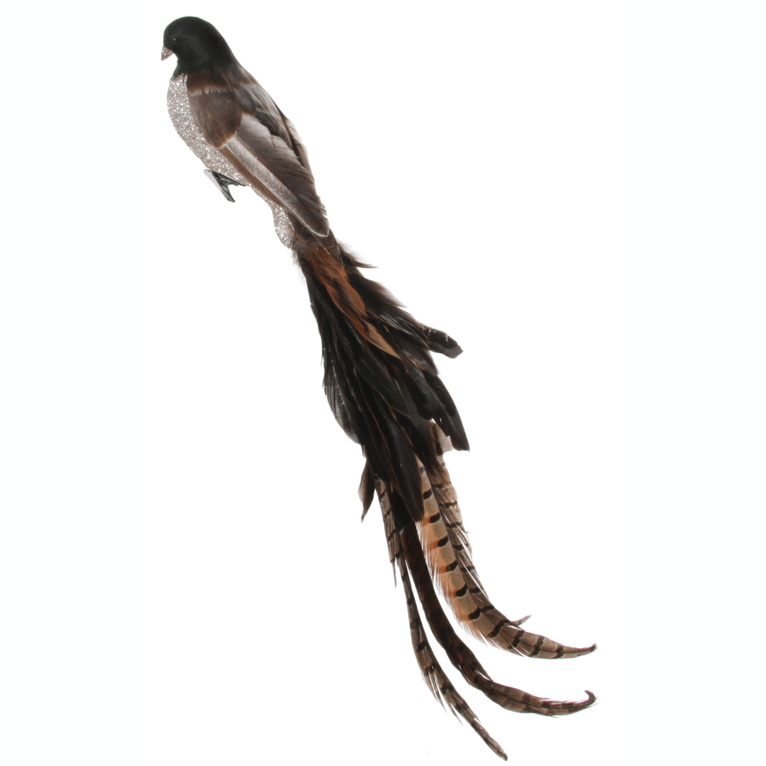 Feather Bird Brown Tail Ornament