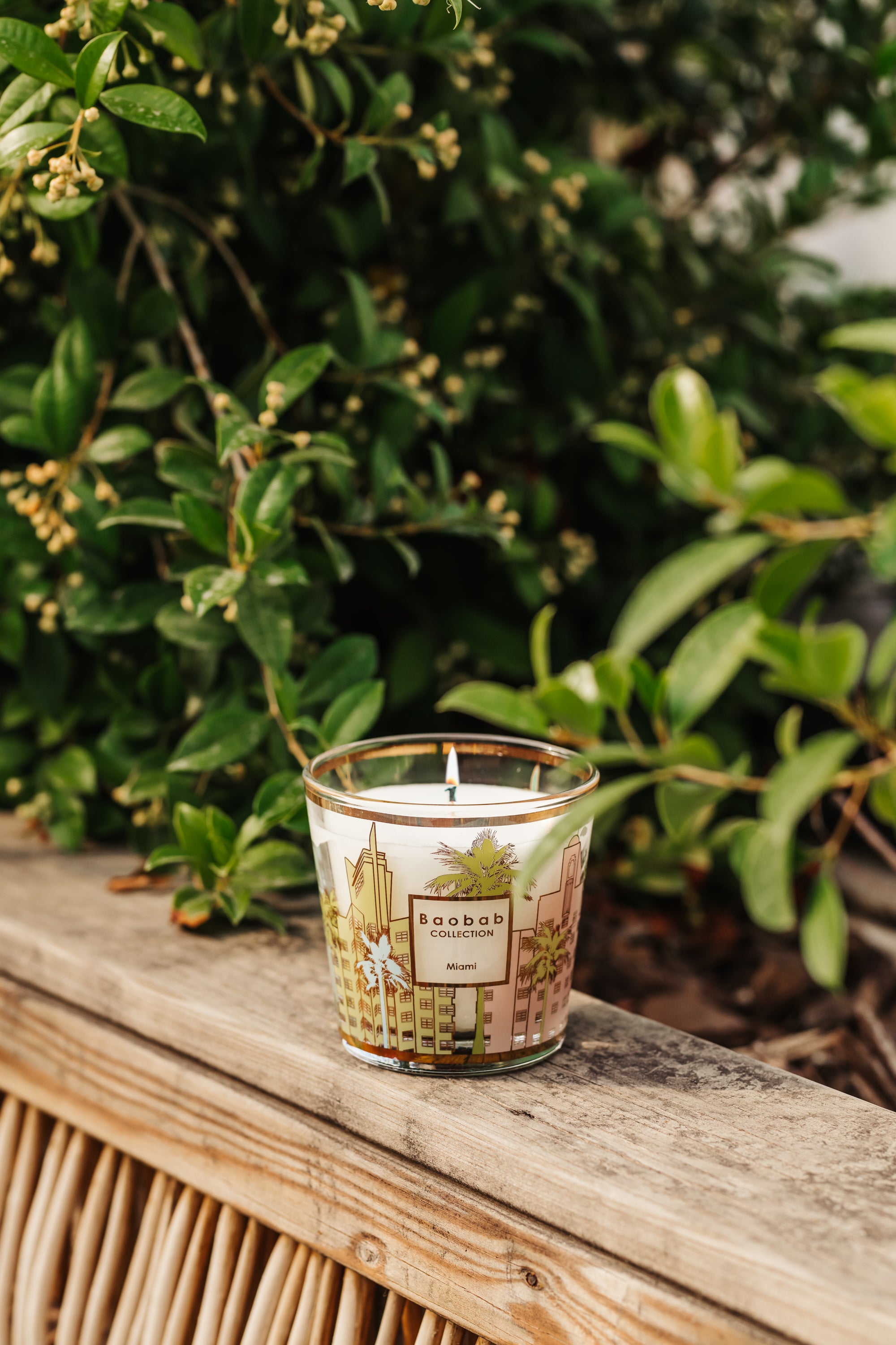 My First Baobab Candle, Miami