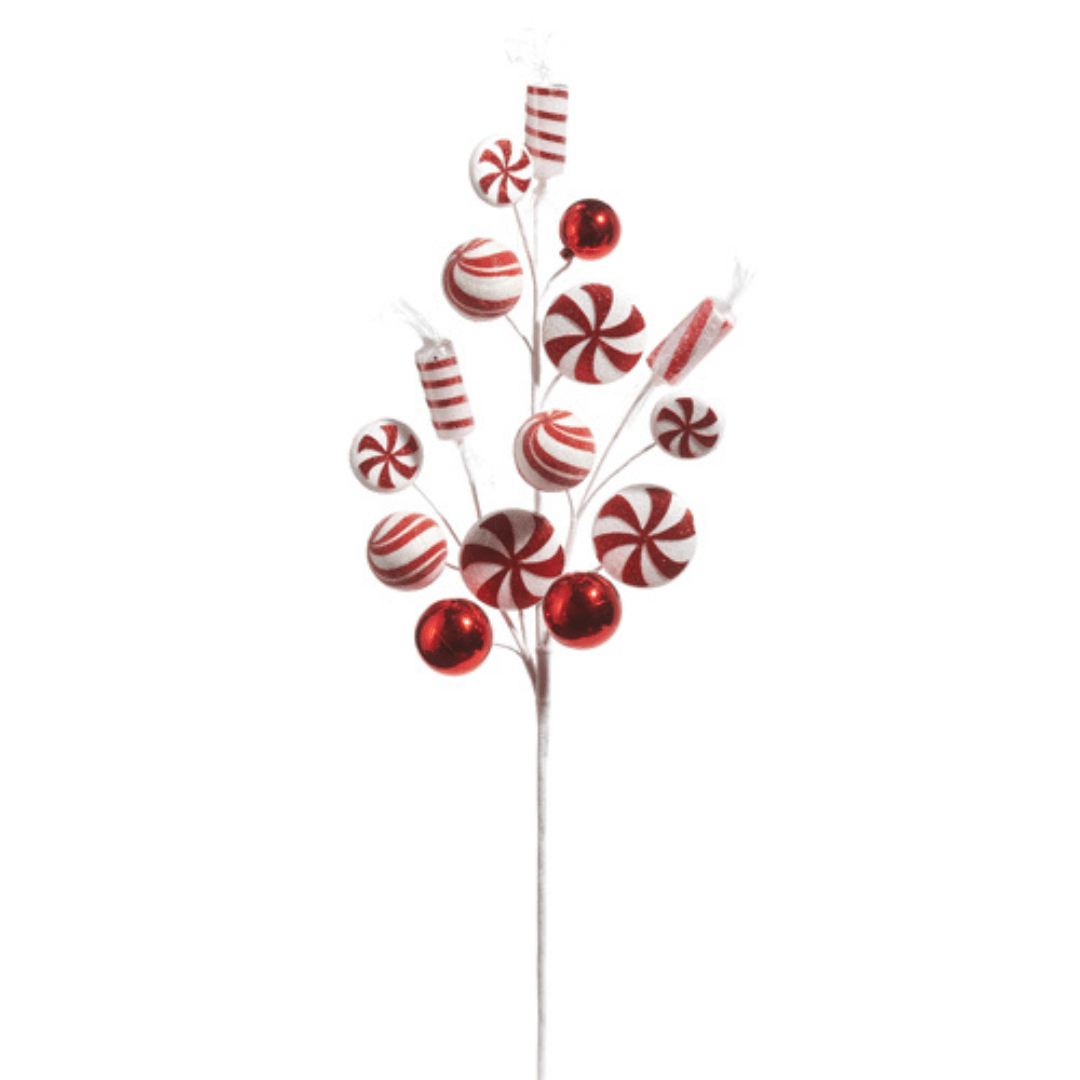 Peppermint Candy Spray 28"