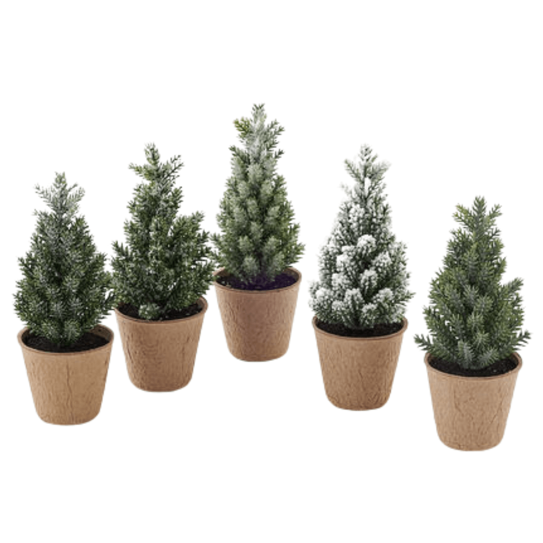 PRE-ORDER Pine Tree, Set of 5