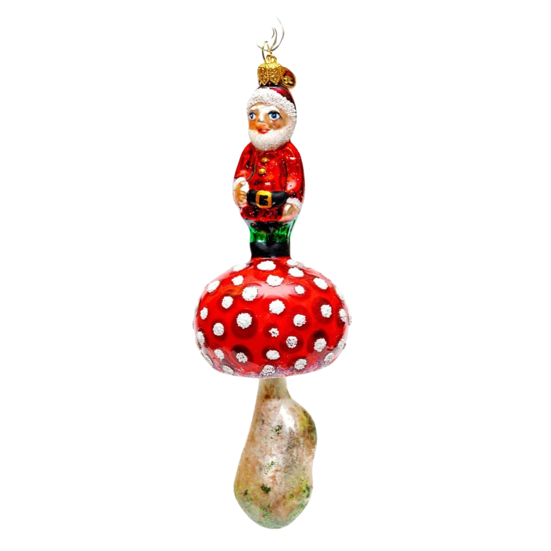 PRE-ORDER Santa on a Mushroom Ornament