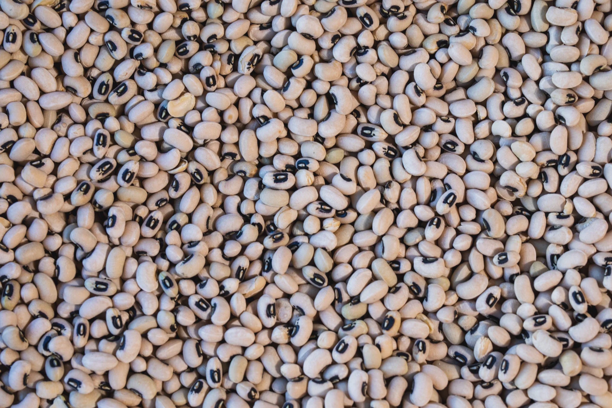 Super Lucky 2026 Black Eyed Peas